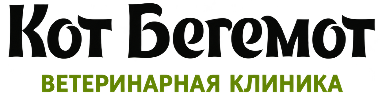 Кот Бегемот · Ветеринарная клиника